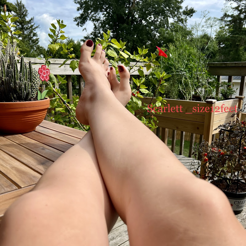 Scarlett Size 12 Feet creator